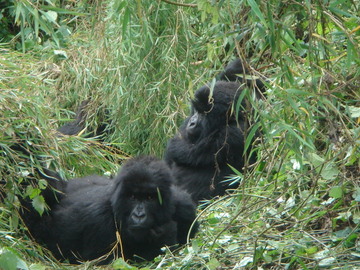 Rwanda_may_2006_487